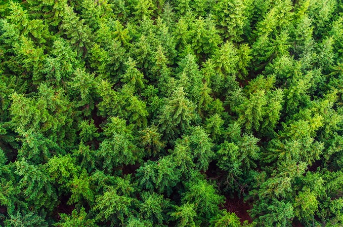 LapWallin puuelementeille RTS EPD -ympäristöselosteet.